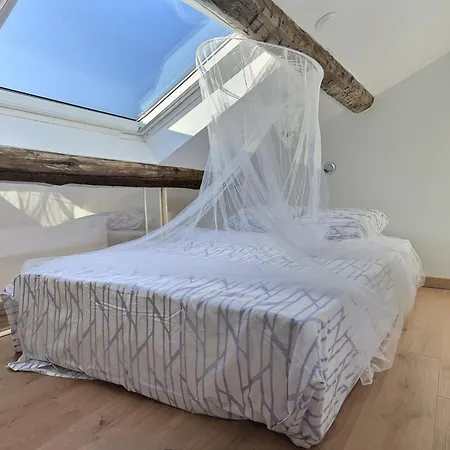 Apartment Jungle Loft Centre