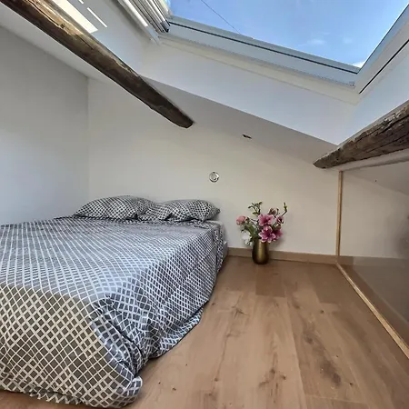 Apartment Jungle Loft Centre Beziers
