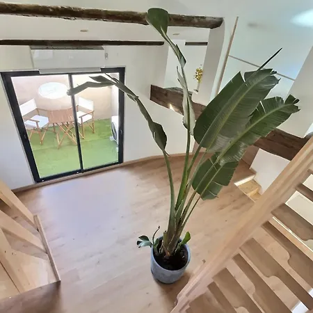 Jungle Loft Centre * Béziers