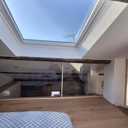 Апартаменты Jungle Loft Centre