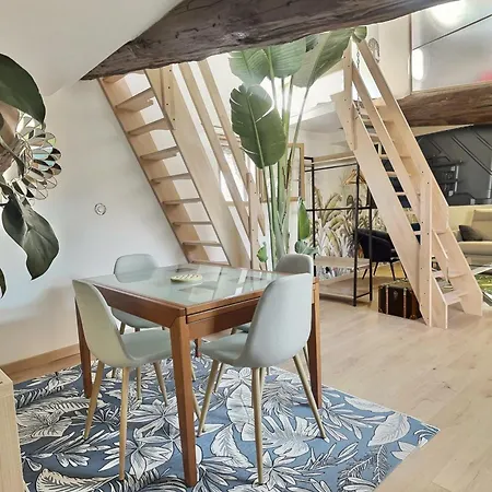 公寓 Jungle Loft Centre 贝济耶