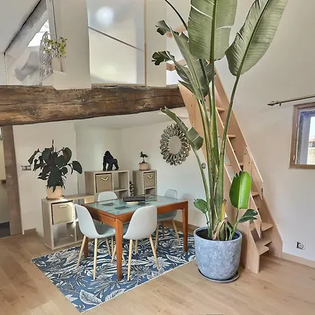 Jungle Loft Centre 公寓