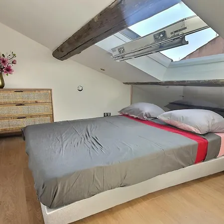 Apartment Jungle Loft Centre *